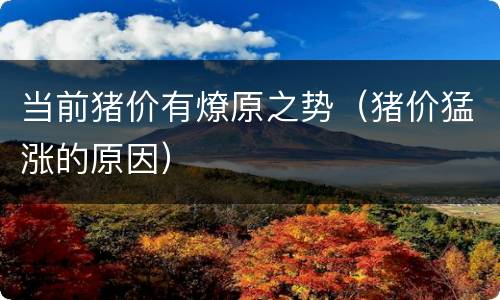 当前猪价有燎原之势（猪价猛涨的原因）