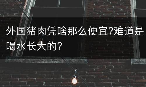 外国猪肉凭啥那么便宜?难道是喝水长大的?