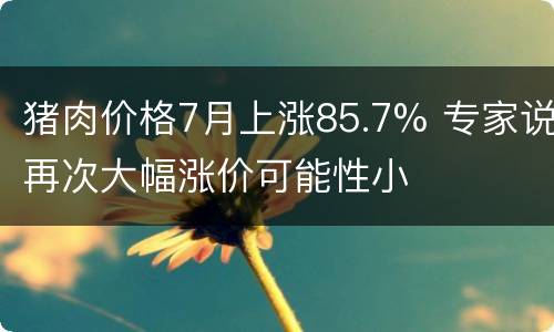 猪肉价格7月上涨85.7% 专家说再次大幅涨价可能性小
