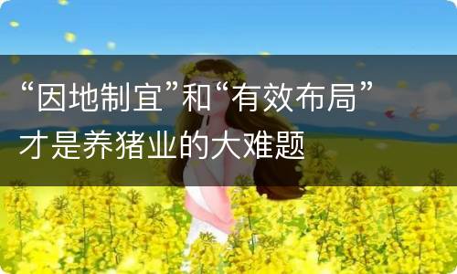 “因地制宜”和“有效布局”才是养猪业的大难题