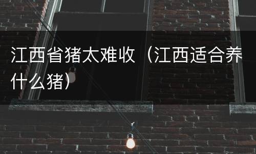 江西省猪太难收（江西适合养什么猪）