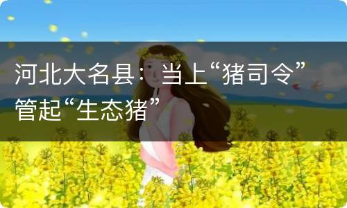 河北大名县：当上“猪司令”管起“生态猪”