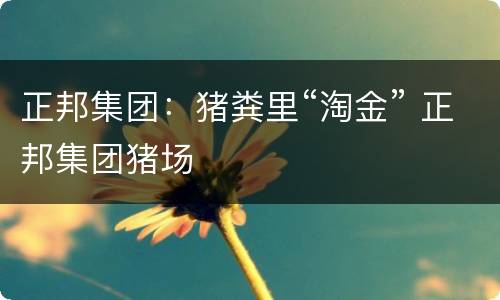 正邦集团：猪粪里“淘金” 正邦集团猪场