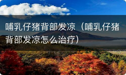 哺乳仔猪背部发凉（哺乳仔猪背部发凉怎么治疗）