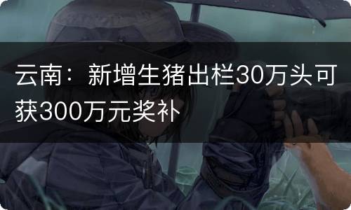 云南：新增生猪出栏30万头可获300万元奖补