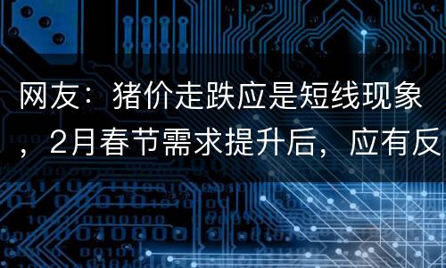 网友：猪价走跌应是短线现象，2月春节需求提升后，应有反弹机会