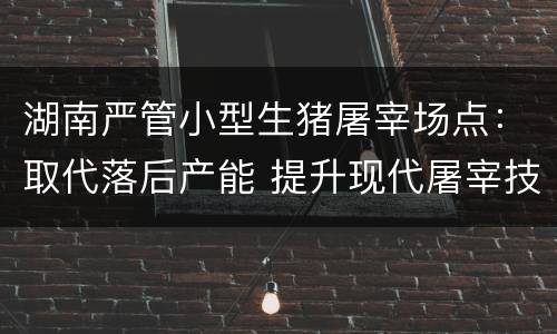 湖南严管小型生猪屠宰场点：取代落后产能 提升现代屠宰技术和设施