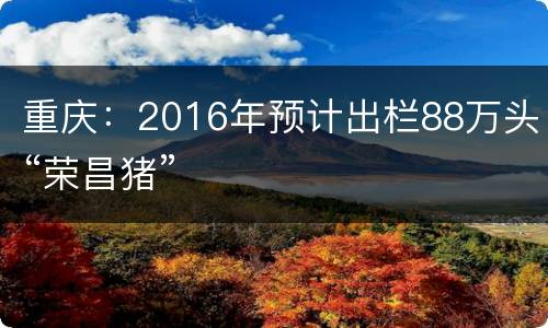 重庆：2016年预计出栏88万头“荣昌猪”
