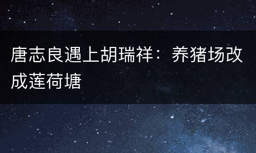 唐志良遇上胡瑞祥：养猪场改成莲荷塘