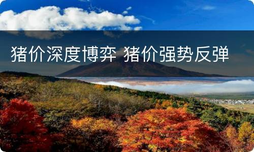 猪价深度博弈 猪价强势反弹