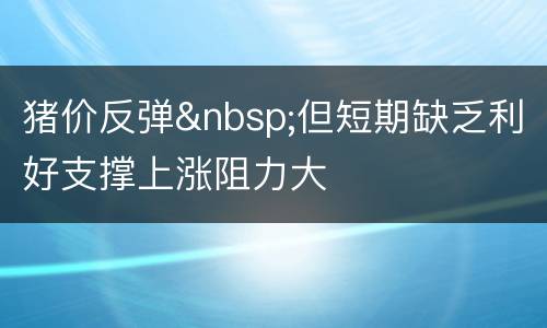 猪价反弹&nbsp;但短期缺乏利好支撑上涨阻力大