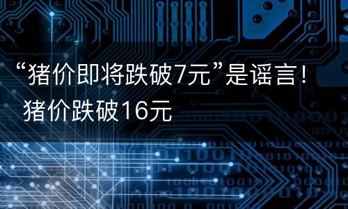 “猪价即将跌破7元”是谣言！ 猪价跌破16元