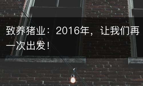 致养猪业：2016年，让我们再一次出发！