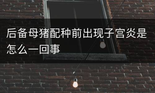后备母猪配种前出现子宫炎是怎么一回事