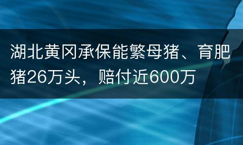 湖北黄冈承保能繁母猪、育肥猪26万头，赔付近600万