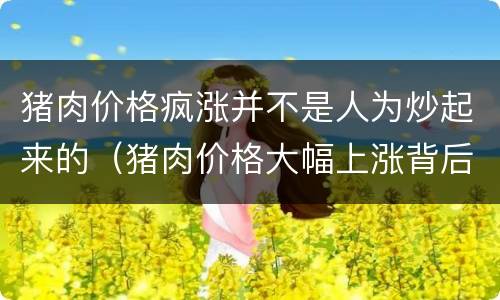 猪肉价格疯涨并不是人为炒起来的（猪肉价格大幅上涨背后的深思）