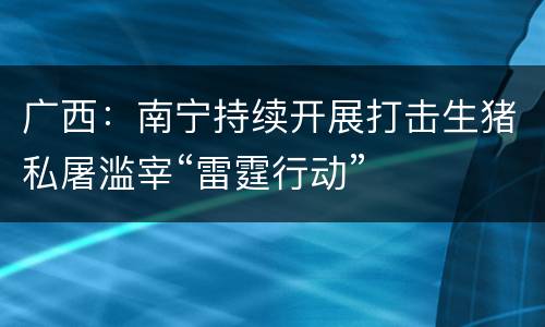 广西：南宁持续开展打击生猪私屠滥宰“雷霆行动”