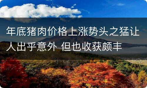 年底猪肉价格上涨势头之猛让人出乎意外 但也收获颇丰