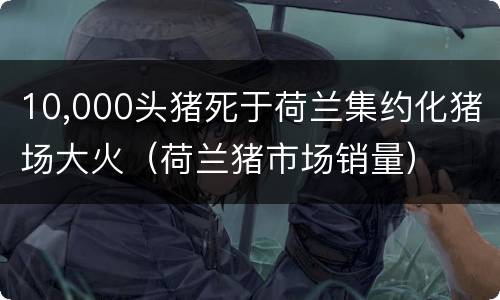 10,000头猪死于荷兰集约化猪场大火（荷兰猪市场销量）