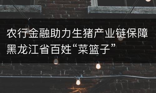 农行金融助力生猪产业链保障黑龙江省百姓“菜篮子”