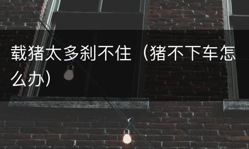 载猪太多刹不住（猪不下车怎么办）