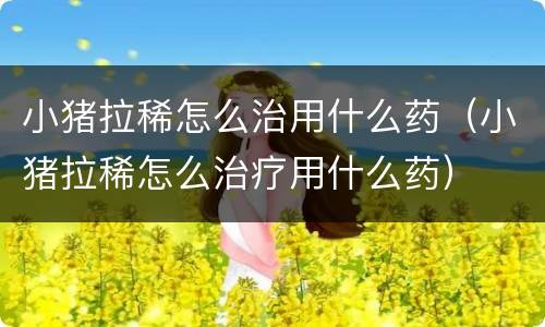 小猪拉稀怎么治用什么药（小猪拉稀怎么治疗用什么药）