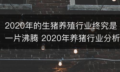2020年的生猪养殖行业终究是一片沸腾 2020年养猪行业分析