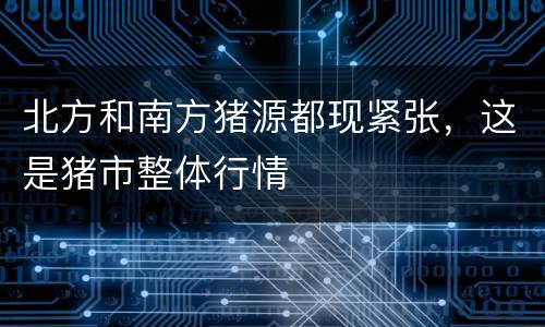 北方和南方猪源都现紧张，这是猪市整体行情