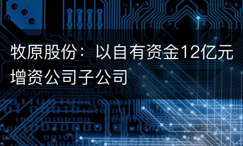 牧原股份：以自有资金12亿元增资公司子公司