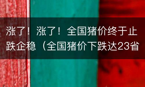 涨了！涨了！全国猪价终于止跌企稳（全国猪价下跌达23省）