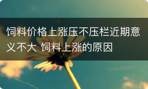 饲料价格上涨压不压栏近期意义不大 饲料上涨的原因
