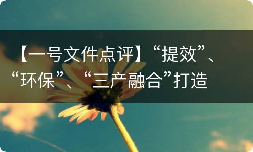 【一号文件点评】“提效”、“环保”、“三产融合”打造现代农业