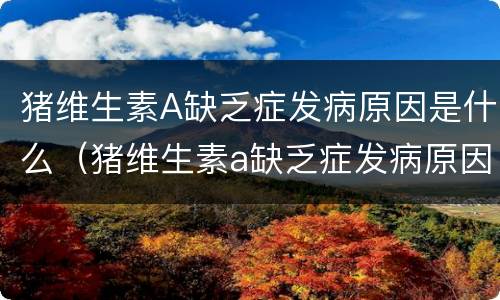 猪维生素A缺乏症发病原因是什么（猪维生素a缺乏症发病原因是什么引起的）
