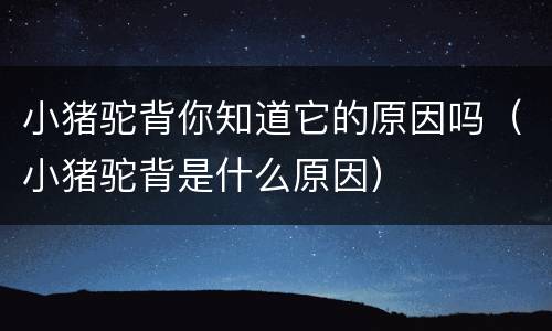 小猪驼背你知道它的原因吗（小猪驼背是什么原因）