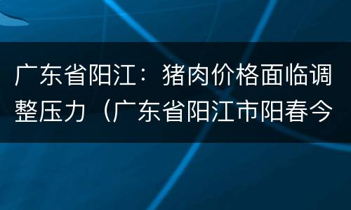 广东省阳江：猪肉价格面临调整压力（广东省阳江市阳春今日猪价）