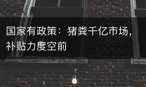 国家有政策：猪粪千亿市场，补贴力度空前