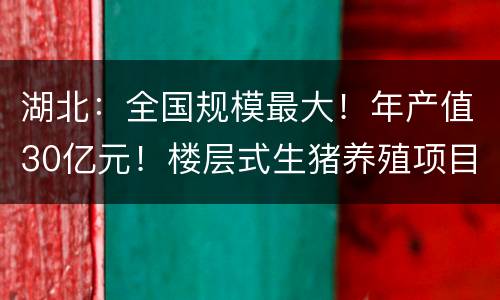 湖北：全国规模最大！年产值30亿元！楼层式生猪养殖项目落户鄂州