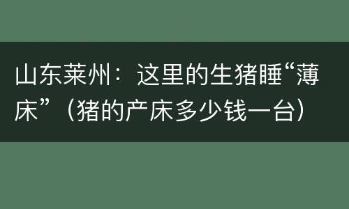 山东莱州：这里的生猪睡“薄床”（猪的产床多少钱一台）