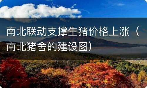 南北联动支撑生猪价格上涨（南北猪舍的建设图）