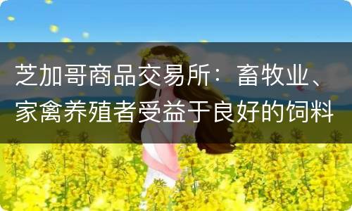 芝加哥商品交易所：畜牧业、家禽养殖者受益于良好的饲料市场