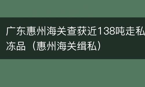 广东惠州海关查获近138吨走私冻品（惠州海关缉私）