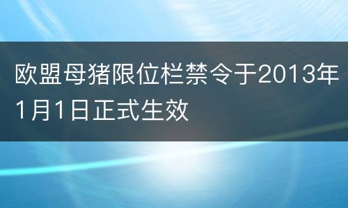 欧盟母猪限位栏禁令于2013年1月1日正式生效
