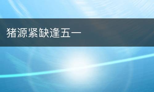 猪源紧缺逢五一