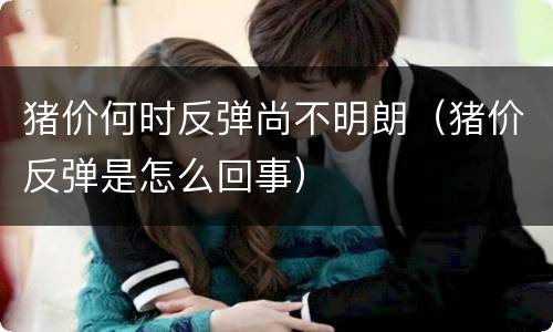 猪价何时反弹尚不明朗（猪价反弹是怎么回事）