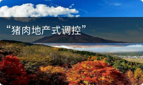 “猪肉地产式调控”