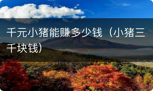 千元小猪能赚多少钱（小猪三千块钱）