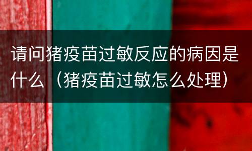 请问猪疫苗过敏反应的病因是什么（猪疫苗过敏怎么处理）
