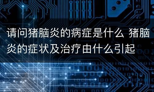 请问猪脑炎的病症是什么 猪脑炎的症状及治疗由什么引起
