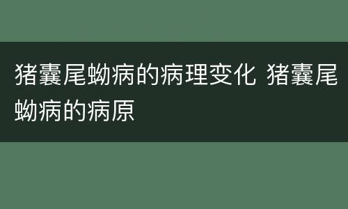 猪囊尾蚴病的病理变化 猪囊尾蚴病的病原