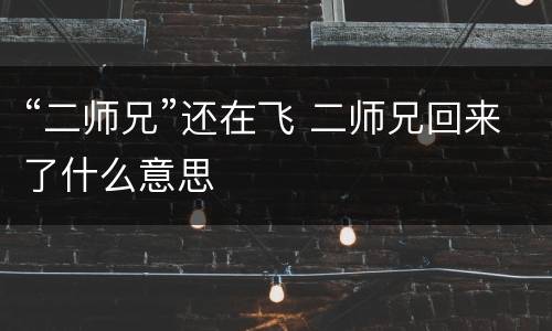 “二师兄”还在飞 二师兄回来了什么意思